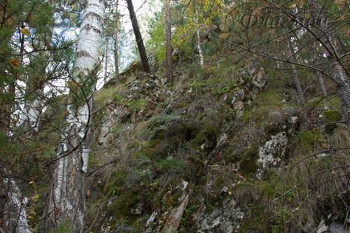 IMG_2700_r